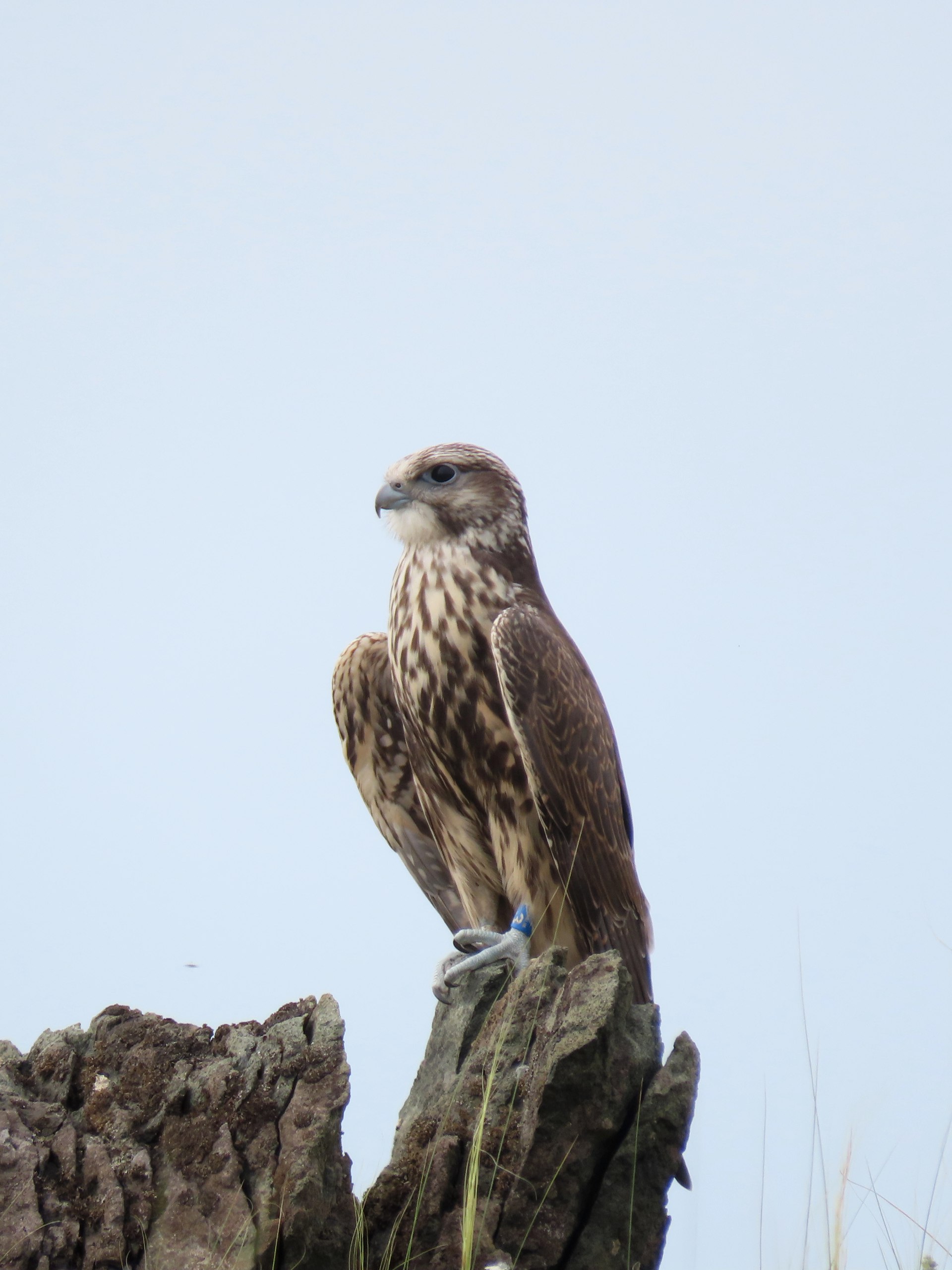 photo_2023-05-17_14-27-43