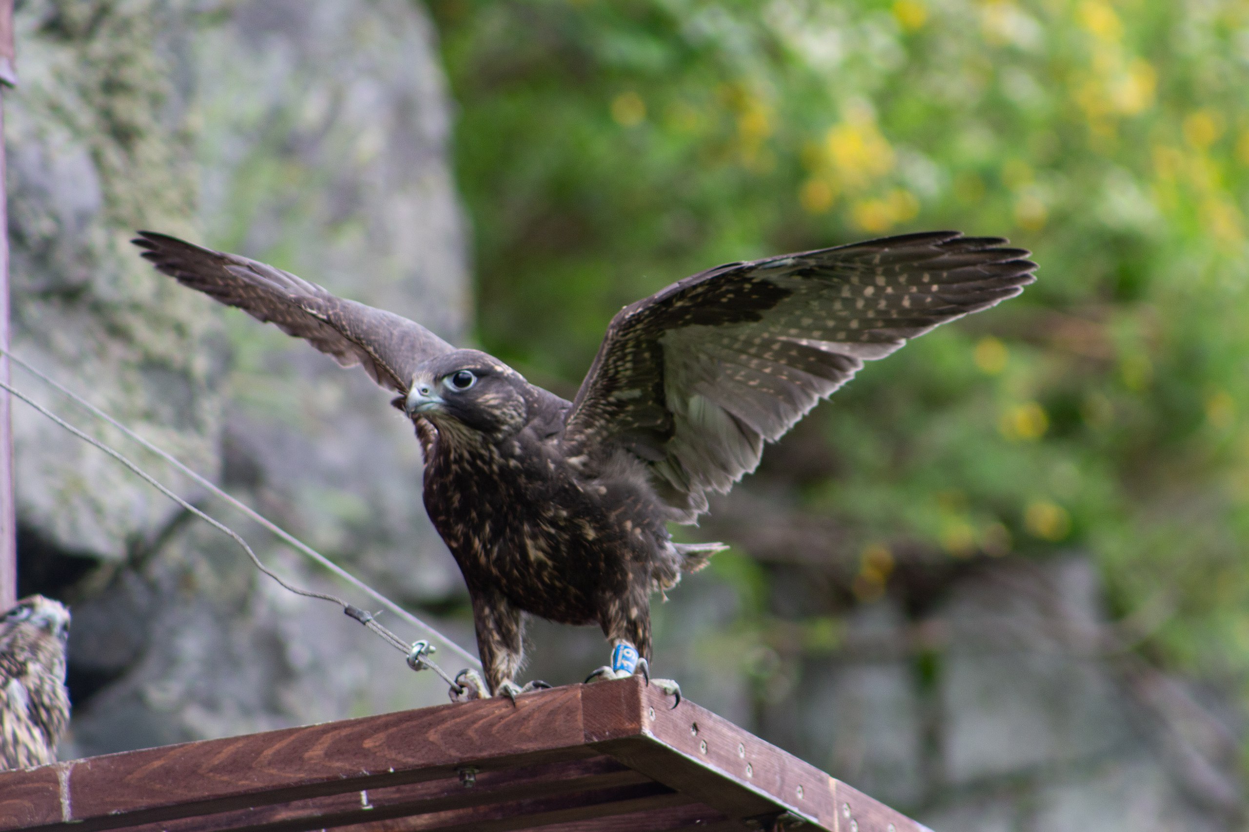 photo_2023-05-17_14-28-02
