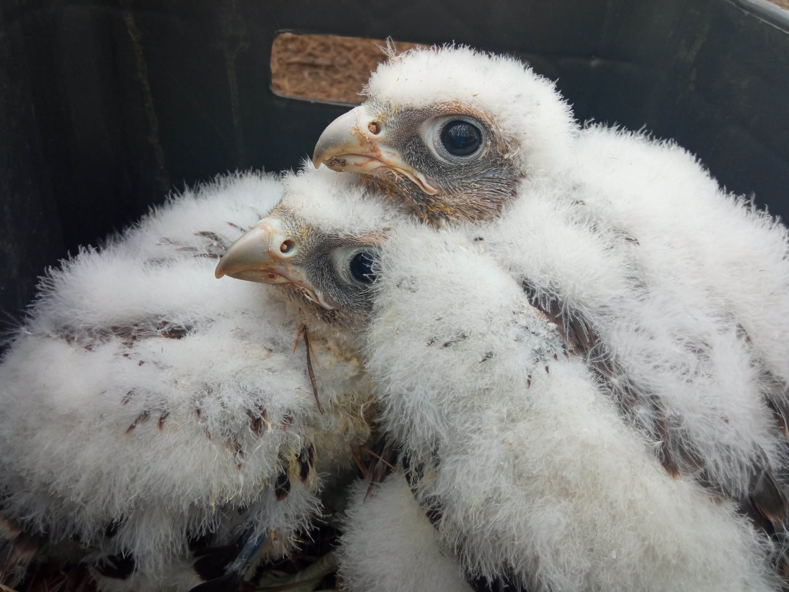 photo_2023-05-17_14-28-03