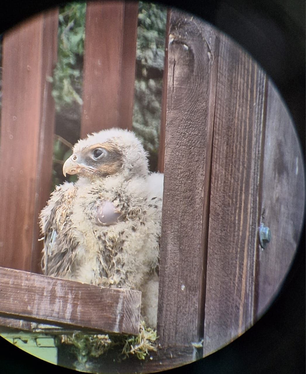 photo_2023-06-19_15-03-41