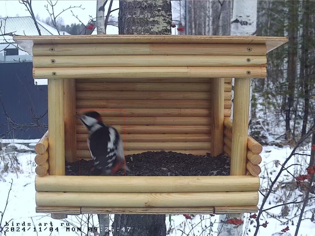 Новый сезон 2024-2025!